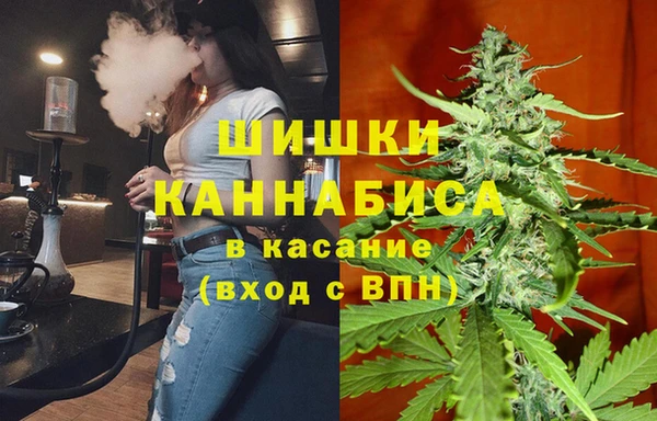 индика Армянск