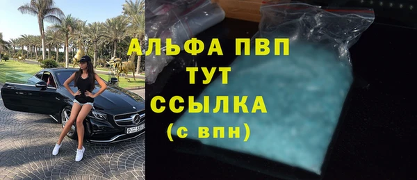 индика Армянск
