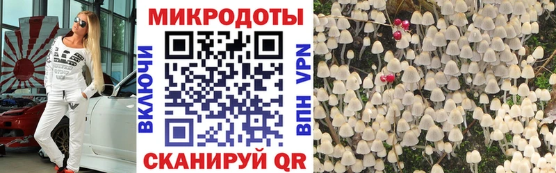Галлюциногенные грибы прущие грибы  купить наркоту  Сланцы 